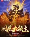 凤凰大领主